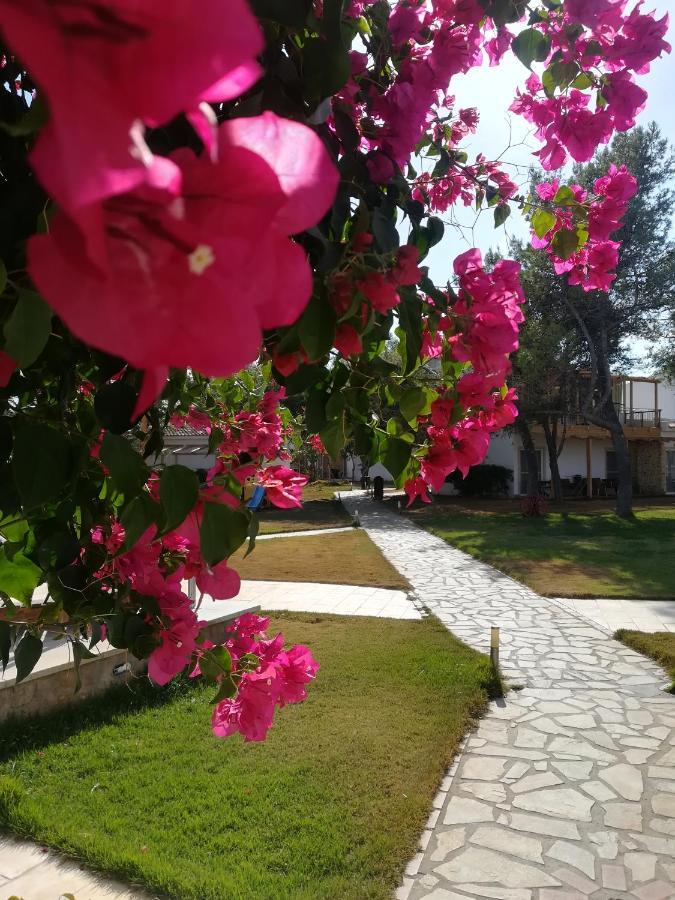فندق Kokkónionفي  Marzi Beach And Bungalows المظهر الخارجي الصورة