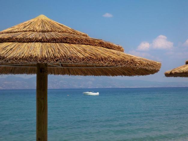 فندق Kokkónionفي  Marzi Beach And Bungalows المظهر الخارجي الصورة